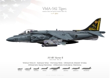 AV-8B VMA-542 "Tigers" JP-4586