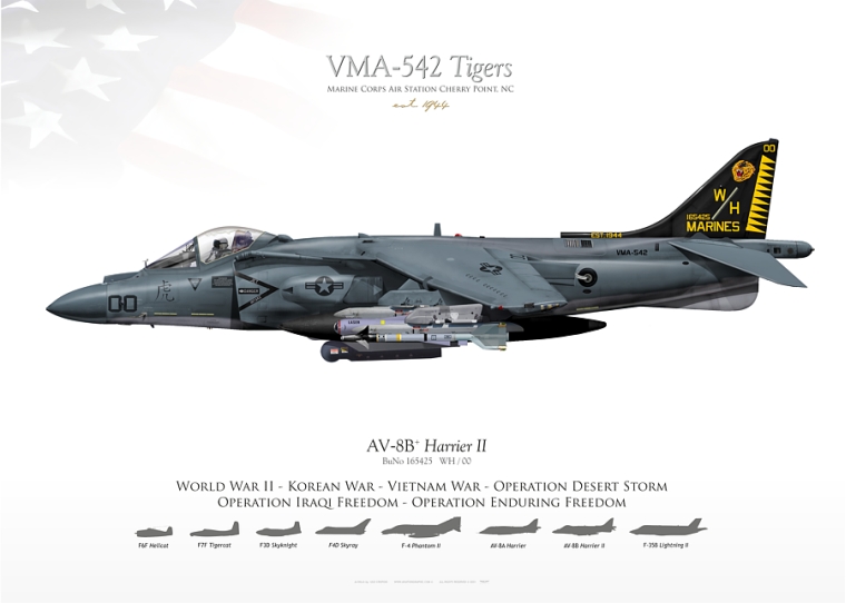 AV-8B VMA-542 "Tigers" JP-4586