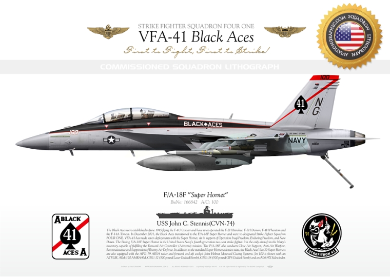 F/A-18F VFA-41 "Black Aces" CAG 2013 JP-1183C
