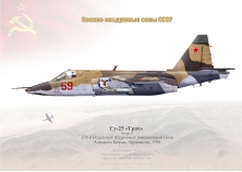 Su-25 "Frogfoot" Bagram...