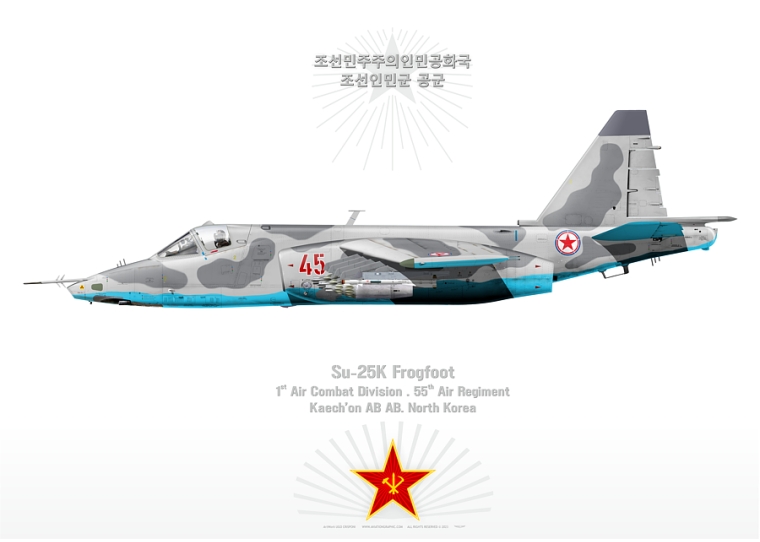 Su-25K "Frogfoot" N Korea JP-5365