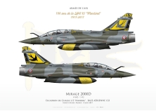 Mirage 2000D EC1/3 "NAVARRE" FF-102