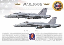F/A-18C & D VMFA-251 "Thunderbolts" JP-3597