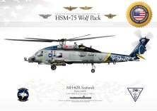 MH-60R "Seahawk" HSM-75...