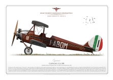 Caproni Ca.100 I-ABOM JP-0032