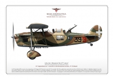IMAM Ro.37 JP-6800