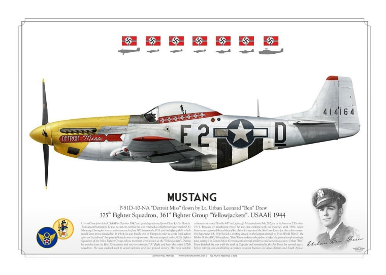 P-51D “Mustang” "Detroit Miss" USAAF PP-03