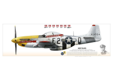 P-51D “Mustang” "Detroit Miss" USAAF PP-03P