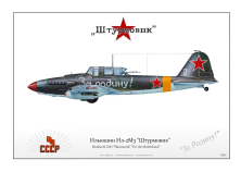 Ilyushin Il-2 "Shturmovik"  "white 2" AG-37