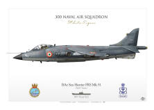 Sea Harrier FRS Mk.51 INDIA IK-126