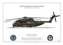 CH-53GS 85+10 Congo EUFOR JP-0647