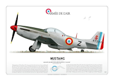 P-51D "Mustang" ARMÉE DE L’AIR GM-18
