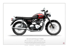 TRIUMPH BONNEVILLE T100 BIKE MSH-01