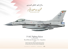 F-16C Bahrain سلاح الجو الملكي البحريني TC-223