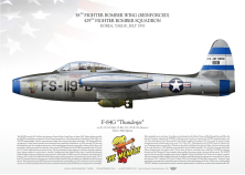 F-84G "Thunderjet" 58FBW 429FBS JP-1908