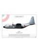 C-130H "Hercules" 46-12 ItAF JP-1952