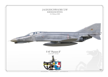 F-4F "Phantom II" 38+61 JG72 "W" MB-74