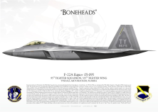 F-22 "Raptor" TY 95th FS "Boneheads" JP-2193