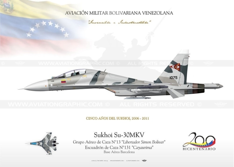 Su-30MKV-Venezuela TC-168