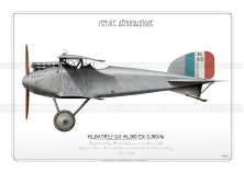 Albatros D.II AL910 French BH-47