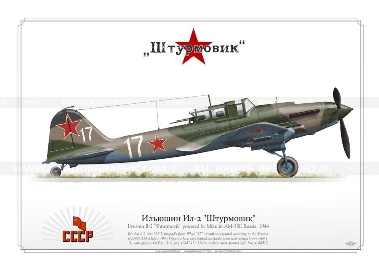 Ilyushin Il-2 "Shturmovik"  "white 17" MN-03