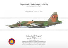 Su-25 “Frogfoot” ARMENIA TC-165