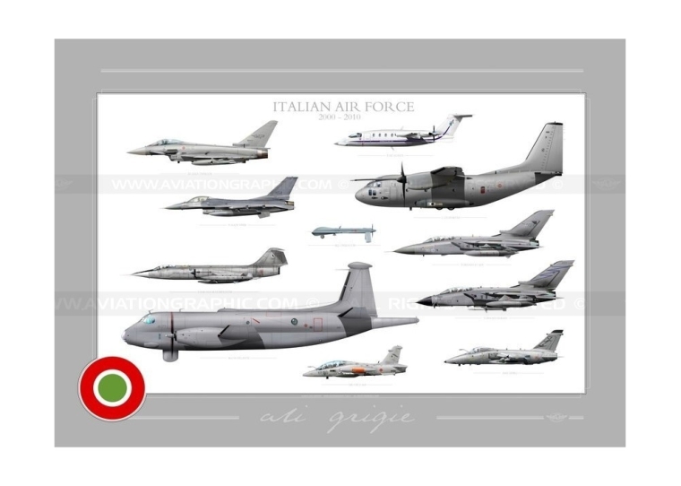 "Ali grigie" Italian Air Force Collection JP-889