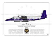 Dornier 228-212LM MFG3 JP-766
