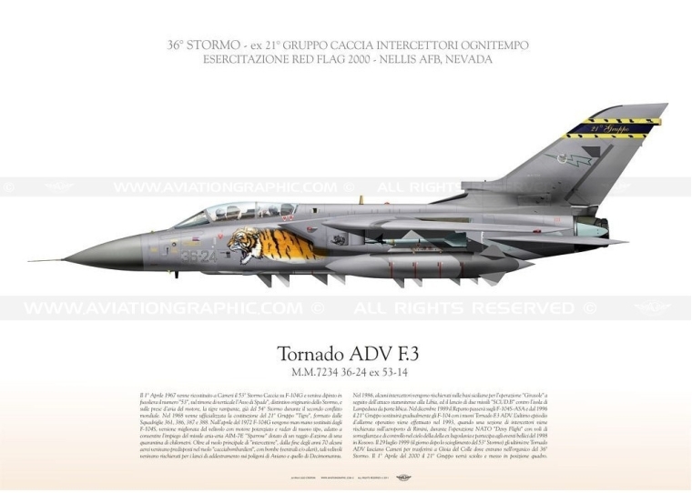 Tornado ADV F.3 36-24 AM JP-829
