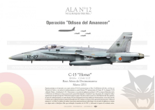 EF-18A+ / C-15 "Hornet" ALA N°12 JP-1089