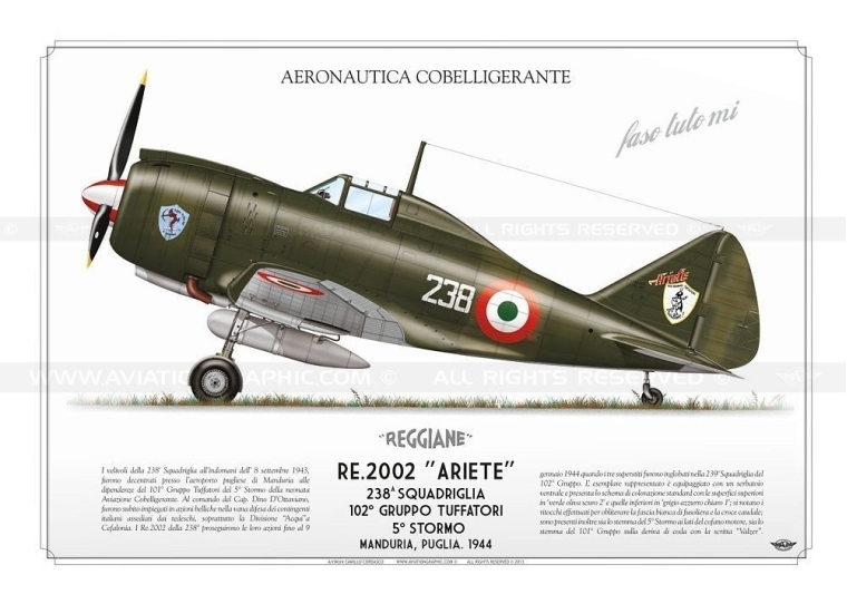 Re.2002 "Ariete" I.C.A.F. 238 Sq. CC-44