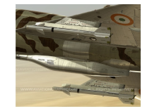Mig-21 "Wanna' Tiger Too" INDIAN AIR FORCE GE-4