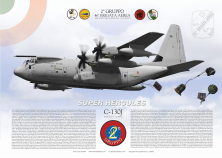 C-130J "Super Hercules" 46^ BA ItAF  JP-1942