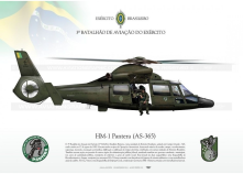 HM-1 "Pantera" EXÉRCITO BRASILEIRO  JP-1319
