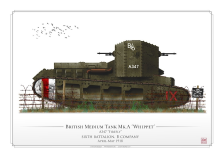 British Medium Tank Mk.A "Whippet"  DB-20