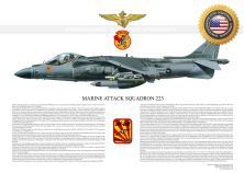 AV-8B+ "Harrier II" VMA-223 "Bulldogs" AG-05