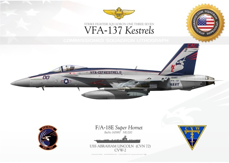 F/A-18E VFA-137 "Kestrels" CAG 2012 JP-1291