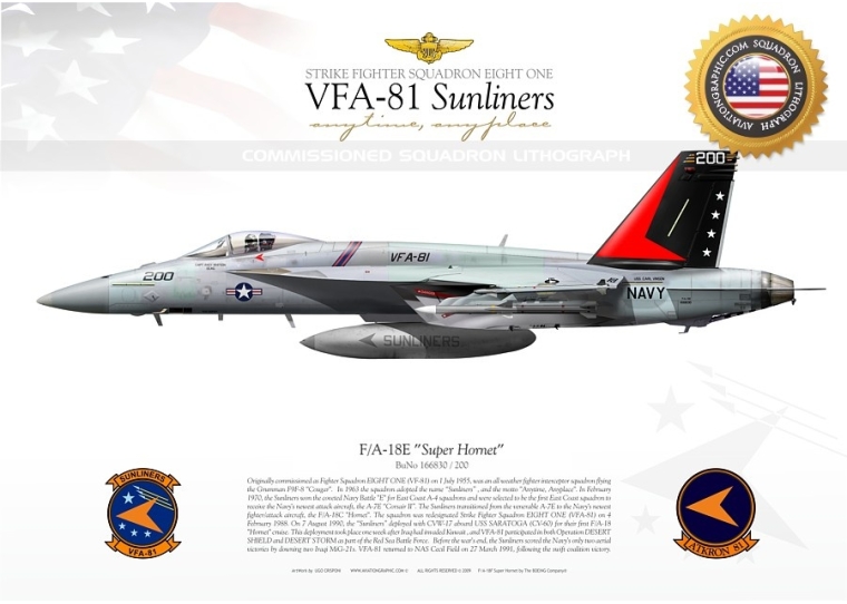 F/A-18E VFA-81 "Sunliners" CAG JP-950