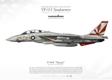 F-14A "Tomcat" VF-111 "Sundowners" TC-024