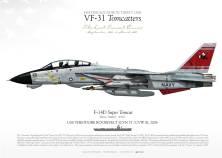 F-14D "Super Tomcat" VF-31 "Tomcatters" DP-11