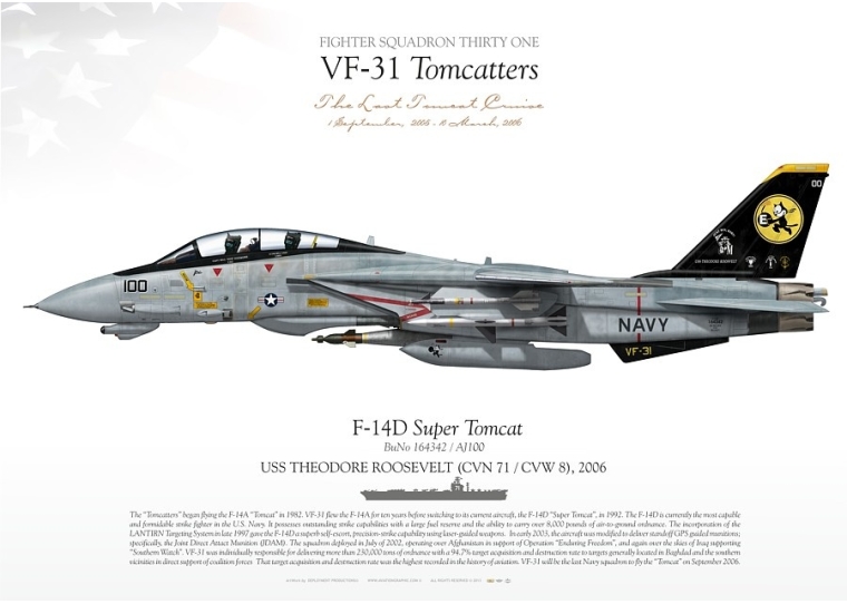 F-14D "Super Tomcat" VF-31 "Tomcatters" DP-13