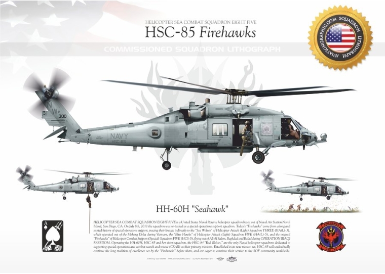 HH-60H "Seahawk" HSC-85 "Firehawks" JP-1520