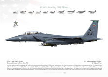 F-15E "Strike Eagle" SJ 335FS USAF JP-2216