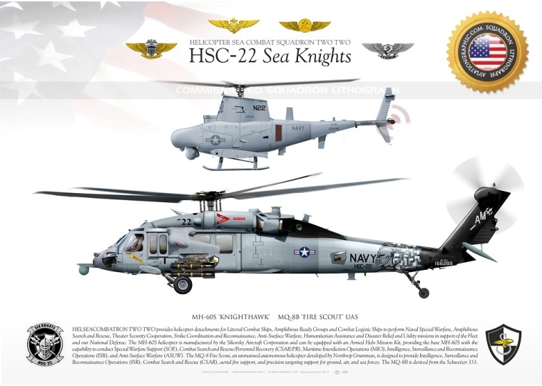 HSC-22 "Sea Knights"  JP-3204