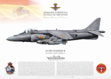 AV8B "Harrier II" ARMADA ESPAÑOLA JP-812