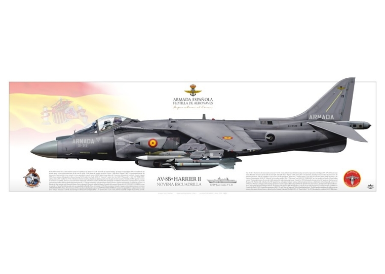 AV8B "Harrier II" ARMADA ESPAÑOLA JP-812P