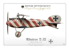 Albatros D.III O.A.W. 1917 BH-29
