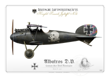 Albatros D.V. Ltn. Monnington 1917 BH-19