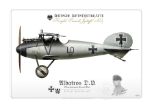 Albatros D.V. Ernst Udet 1917 BH-02