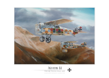 Aviatik D-1 Flik63J 1918 PA-12